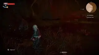 Witcher 3 - Crones Boss Fight Death March