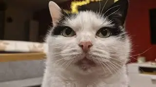 Staring into your soul