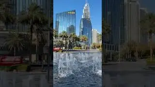 ⚠️ What can tourists be fined for in the UAE? #dubaihouses #dubairealestate #dubairealty