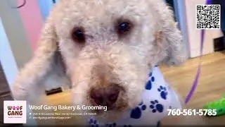 Woof Gang Bakery & Grooming   30secv1