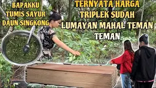 PETIK DAUN SINGKONG DAN PERGI CEK HARGA TRIPLEK BUAT RUMAH KAMPUNG