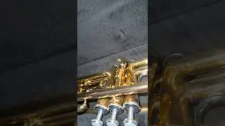 I got a brand new ✨Trumpet✨ #band #trumpetplaying #trumpet #sehar