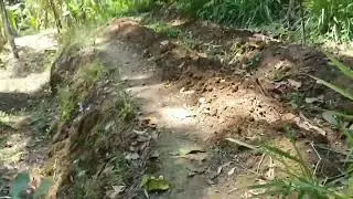 Petani pisang🍌
