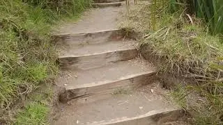 Climbing Lion Rock, Piha, New Zealand HD