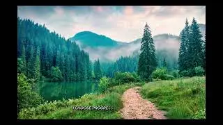 Positive Affirmations for Financial Freedom | Attract Wealth, Abundance & Prosperity Mindset