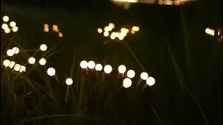 Magical Solar Firefly Garden Lights | Waterproof Outdoor LED Decoration