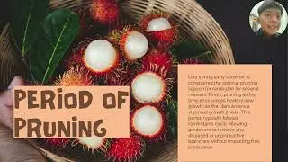 Slide Pruning Rambutan FPA200