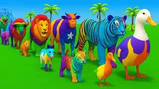 Long Slide Game With Cow Elephant Gorilla Hippopotamus Tiger - 3d Animal Game - Funny 3d Animals