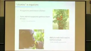 Alison Gail Smith | Plenary Lecture 8: Algal-bacterial consortia and evolution of mutualism
