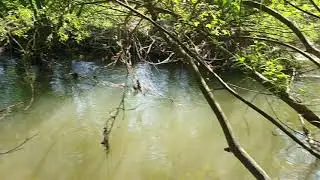 K&ouml;rnebach M&uuml;ndung in Seseke - Ex K&ouml;ttelbecken - Kamen - Pixelr&ouml;hre - M&uuml;ndungsdelta