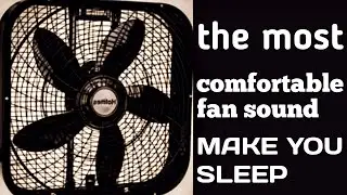 Insomniacs Swear by This Fan Noise | Black Screen Sleep Sounds That Work Every Time -23