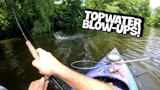 Fish Were CRUSHING The Whopper Plopper!!