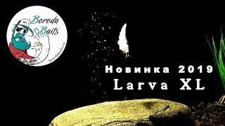 Boroda Baits (Борода Бейтс). Larva XL - новинка 2019. Приманки от Boroda Baits (Борода Бейнс)