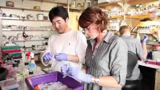 Feast, famine, and the genetics of obesity: you can't have it both ways