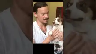 This Dog Hates Love and the Internet Can&rsquo;t Get Enough