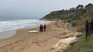 M&aacute;s cad&aacute;veres llegan a costa de Italia tras naufragio de barco con migrantes | AFP