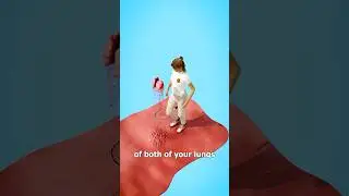 The Surface Area Of Your Lungs 🤔 Surgeon Reacts