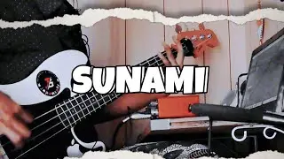 SUNAMI - Contempt Of Cop [ BASS COVER ]