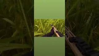 Found my way to their fort!#fypシ゚viral  #junglewarfare #airsoft #gelblaster