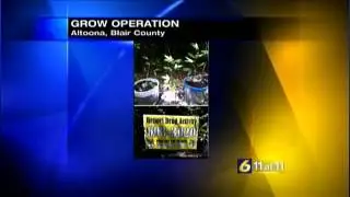 Police find marijuana plants growing in Blair Co. woods