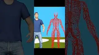 Weird Things About Your Body 😱 | #shorts #ytshorts