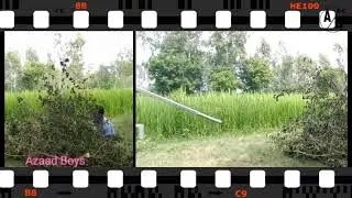 VILLAGE SHAMPOO PRANK-2