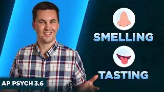 The Process Of Smelling & Tasting [AP Psychology Unit 3 Topic 6]
