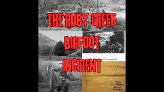 Ruby Creek Bigfoot Encounter: Chilling True Story of a Legendary Bigfoot Sighting