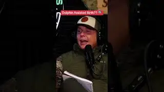 Dolphin assisted birth is a real thing, but a bad idea! #outdoorpodcast #funnyoodcast #podcastclip