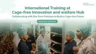 Collaborating with Star Farm Pakistan to Build a Cage-free Future