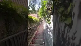 Whitley Heights Staircase