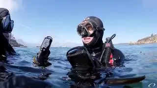 Oceanic ProPlus X Scuba Dive Computer - Adelaide Scuba Online Store