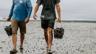 How to go clamming and easy steamed clam recipe with Island Creek