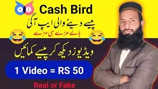 Cash Bird App | How To Make Money from Cash Bird | Earning App in Pakistan