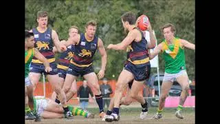 Doncaster East Lions