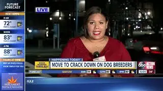 Hillsborough County Commissioners cracking down on commercial dog breeding facilities