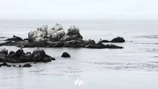Cobalt Rabbit // Scatterheart (glo Remix)