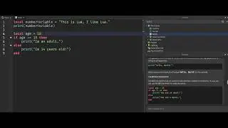 Variables and Conditionals Lua (explained)