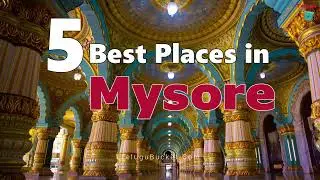 5 Best Places to Visit in Mysore | Must Visit Places in Mysore | Telugu Bucket