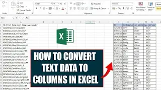 How to convert text data to columns in Excel /excel for beginners