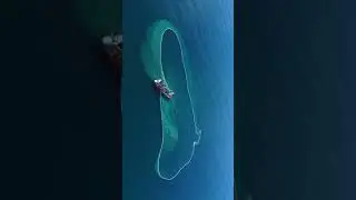 Vibrant colours of deep ocean #fishing #ocean #sea #beautiful #nature