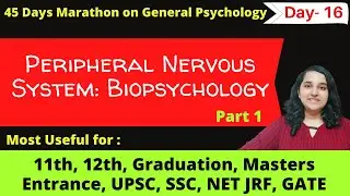 Peripheral Nervous System in hindi| Somatic Nervous System| Mind Review