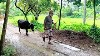 গ্রামের খেটে খাওয়া মানুষগুলোর জীবন ও কাজের দৃশ্য #গ্রাম প্রেমী #গ্রামের 
