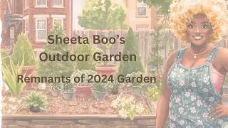 Remnants of my 2024 garden