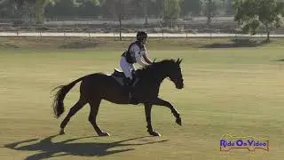 117XC Emily Pestl Dimmitt on Bodhizafa Mod. Training Challenge Cross Country Galway Downs Oct. 2020