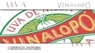 Uva de mesa embolsada del Vinalop&oacute;