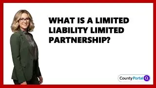 What Is A Limited Liability Limited Partnership?