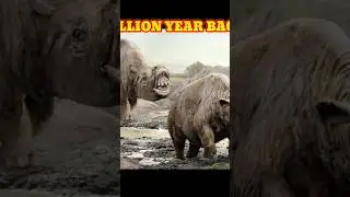 Now vs million year back #shorts #short #discovery #animals #youtubeshorts
