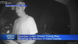 Young man blows up mailbox in Kane County