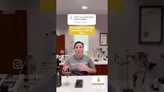 Wine Science Q & A- Assistant Winemaker Clare Kessler- 